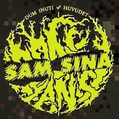 Ponyhans - Dum Inuti Huvudet