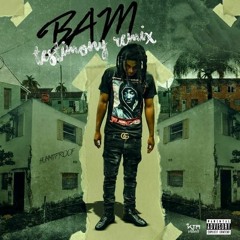 BAM Testimony Remix