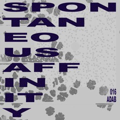 Spontaneous Affinity #016: ADAB