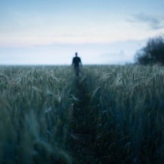 Sineform - To Follow