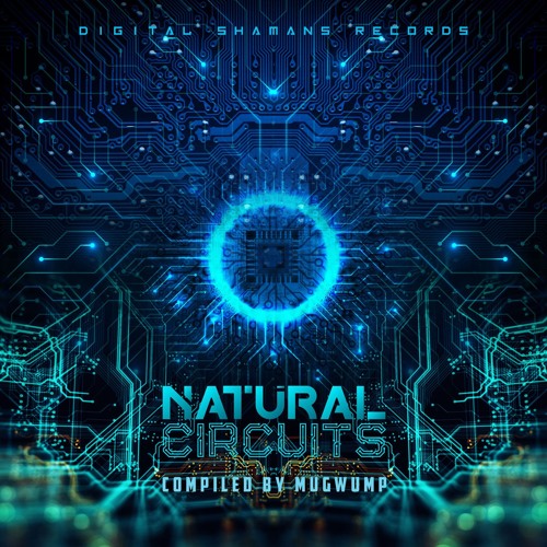 6 - Sensitive Seeds - In The Mazes