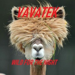 VaVaTek - Wild For The Night (original Mix)