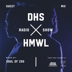 DHS Guestmix:  Soul Of Zoo