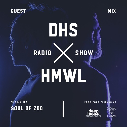 DHS Guestmix:  Soul Of Zoo