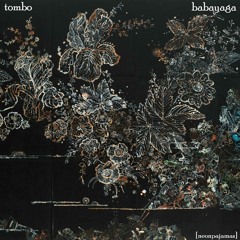 tombo - babayaga