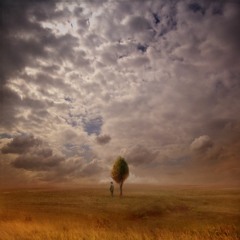 Poem - The Cages