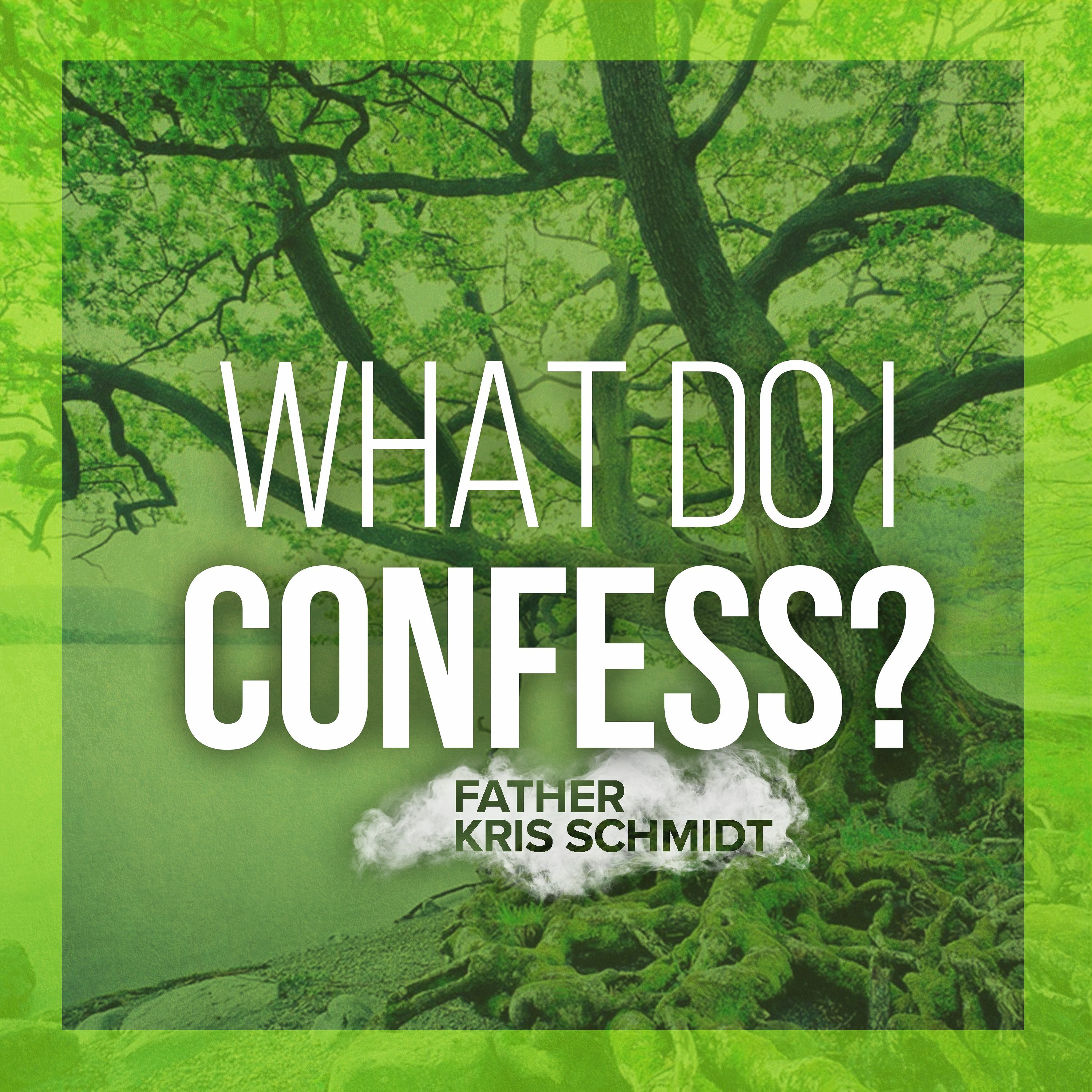 Fr. Kris Schmidt Homilies