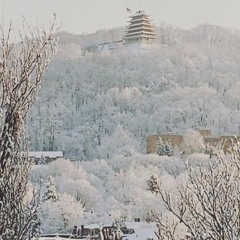 Syn Pharaoh - I Wonder ft. P-Rocca