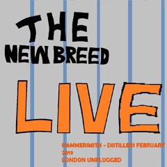 Doesn't Bother Me -(Live at London Unplugged, The Distillers - Hammersmith 21.02.19)