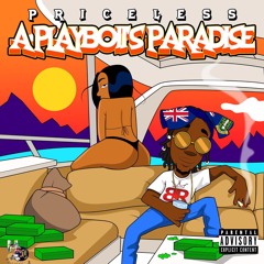 Playboii's Paradise (Prod. by TheBeatPlug)