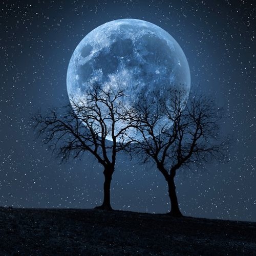 The Moon III (Cry Session)