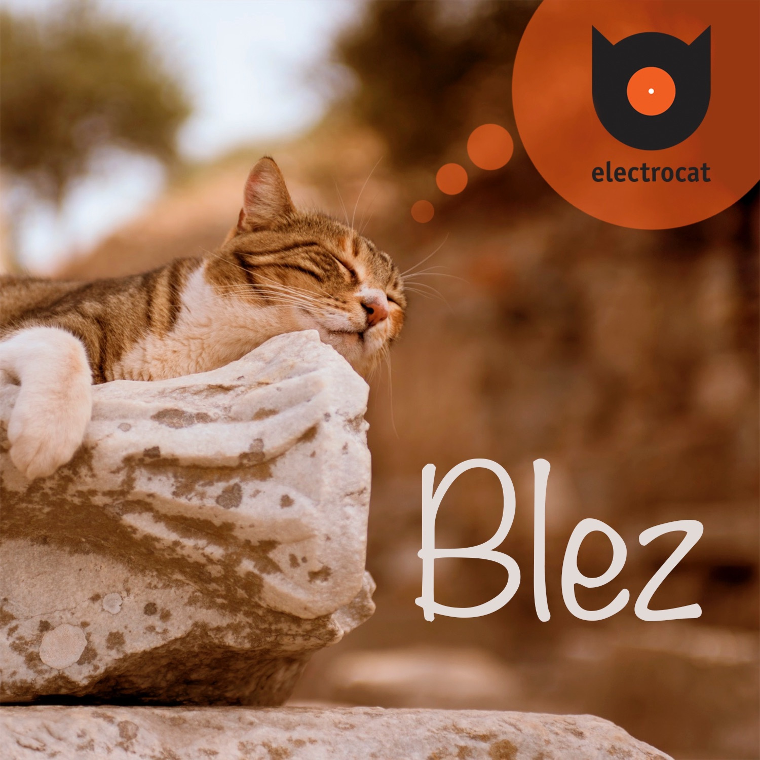 Electrocat - Tilos Radio