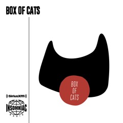 Box Of Cats Radio - Episode 1