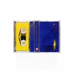 THE POINTLESSNESS OF NIEMY DOTYK MIXTAPE - side B / POINT#31