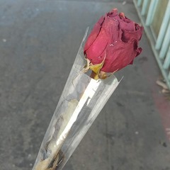 Dope Boy - Been Thinking