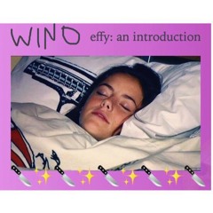 effy: an introduction