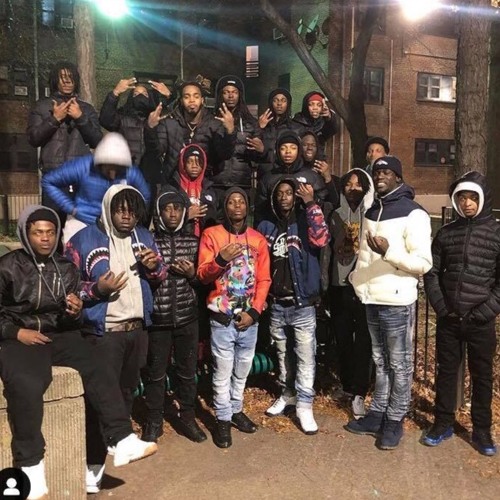 Beef'3 X Jadee'57 X MG Ant - GooniesVille