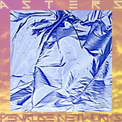 PENROSE NETWORKS