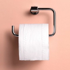 Is there a toilet paper lobby in the U.S.?