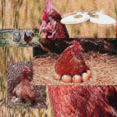 83HADES - CHICKEN (Prod. $HARPBOI)✧VIBESFOREVER EXCLUSIVE✧