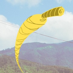 shoestring
