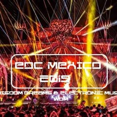 Especial EDC (Electric Daisy Carnival) CDMX 2019