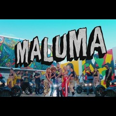 HP ✘ MALUMA ✘ DJ NAHUMIX [FIESTERO REMIX]