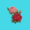 Mac Miller Ft. Miguel & J. Cole Type Beat - 'Roses'