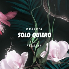 Montoya - Solo Quiero ft. Pedrina