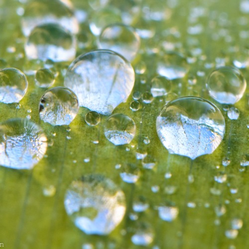 Just as I Am, Without One Plea