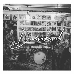 Seed 2.0 (The Roots)