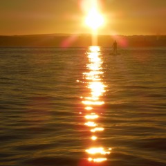 HAIL TO THE HOMELAND