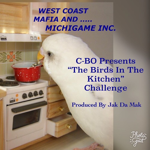 C-BO "Birds In The Kitchen" Instrumental (Challenge)Feat. Renee Rashaad  Prod. By Jak Da Mak