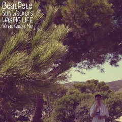 BeatPete - Sun Walkers