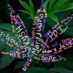 My Controlled Substance