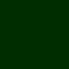 폴킴 - 초록빛