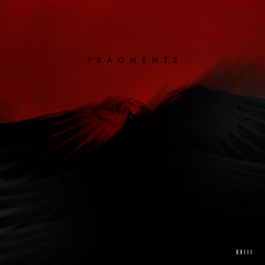PREMIERE : Vridian - Fragments (Original Mix)[Nie Wieder Schlafen]
