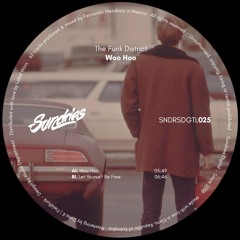 PREMIERE: The Funk District - Let Yourself Be Free [Sundries]