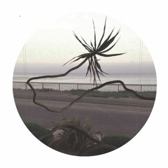 PALMS020 // Tape Hiss - Crystal Voyage EP