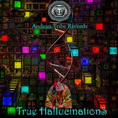 CHAKANA - Psychedelic Andean Flute