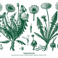 Walter Maioli, Nirodh Fortini - Taraxacum (Excerpt 2)