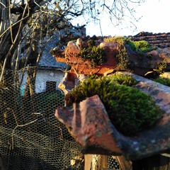 Les Marches À Celestin Gouteffarde