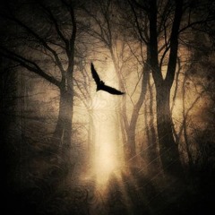 Burial (Shadows of Darkness)