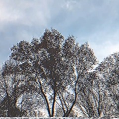 False phrophets- Soull X Flash.mp3