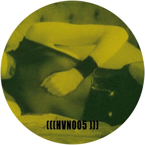 Premiere: VTSS - Up & Down [HVN005]