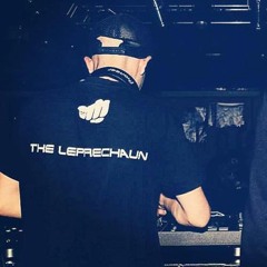 The Leprechaun - Watch Out