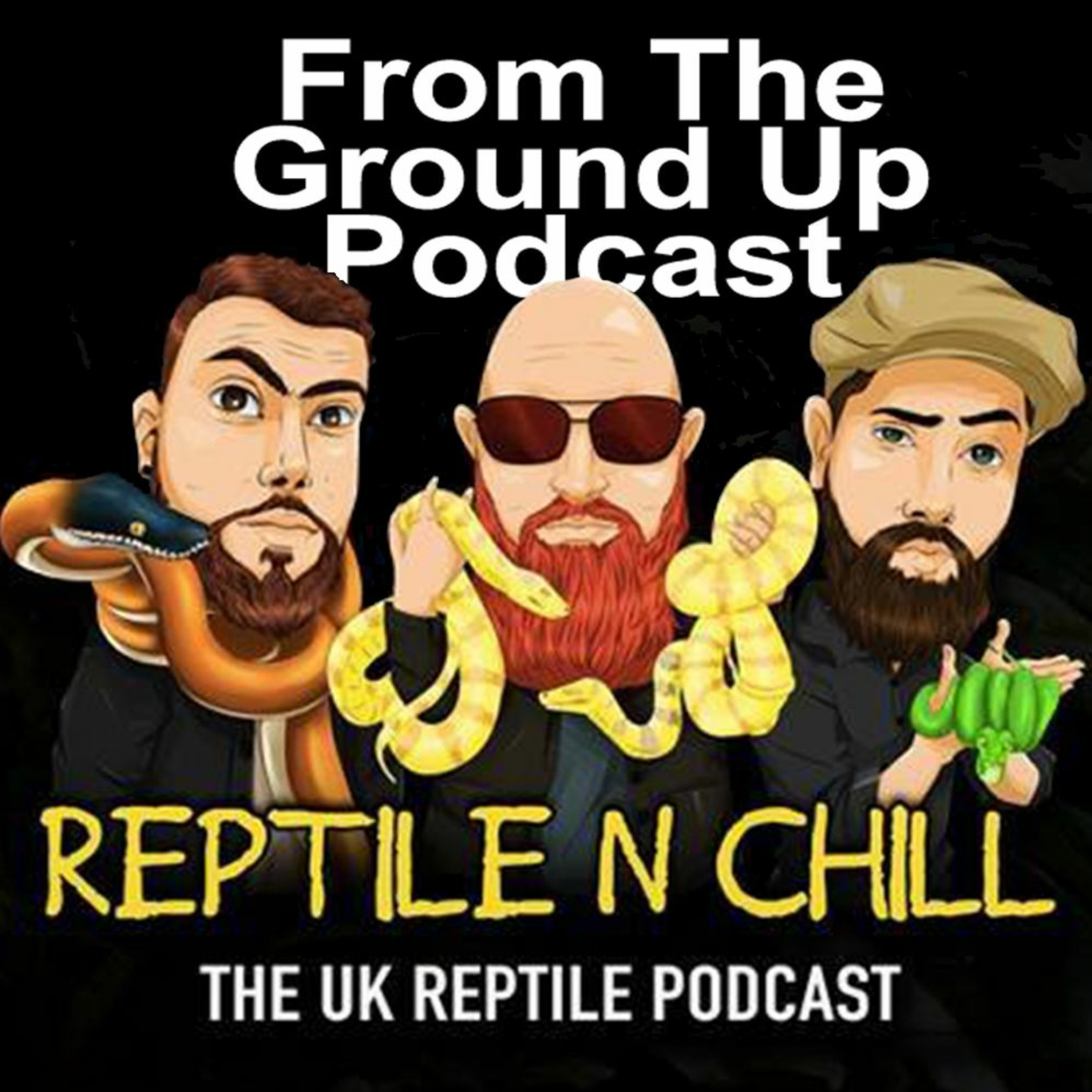 Modern Medusa Reptile Podcast - Where we talk everything cold-blooded (Snake Podcast)