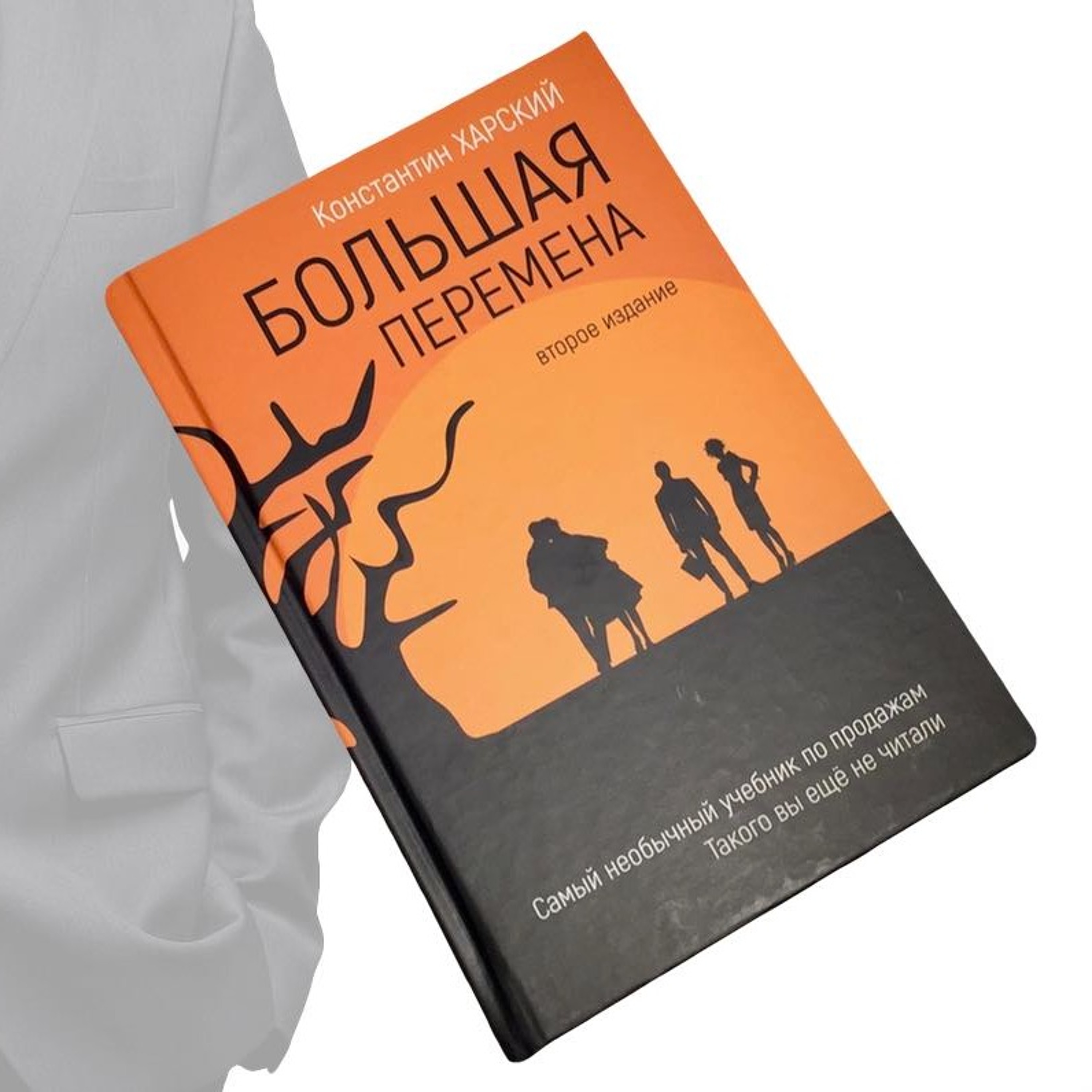 Купить Книга Большая Перемена