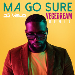 Dj Vielo X Vegedream Ma Go Sure (Remix) Extended
