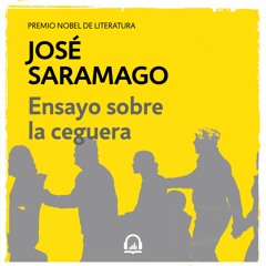 Ensayo Sobre La Ceguera